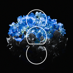 大石纱季最经典
