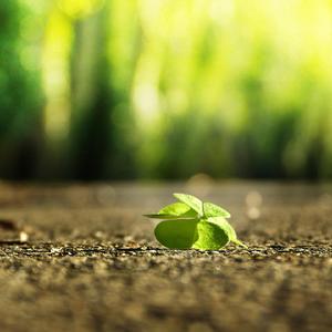 大石纱季最经典
